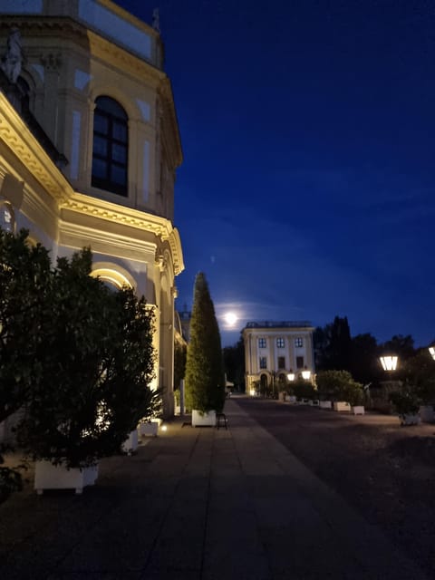 Kassel: Kassel's lost city by night - Who should book this tour (and who might not love it)