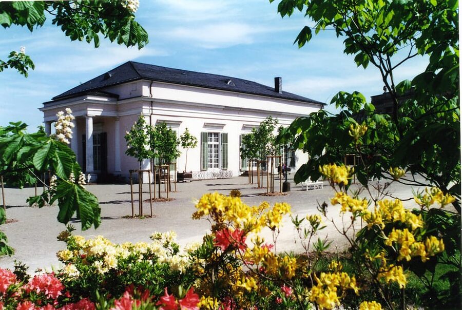 Kassel: Pure relaxation and world culture – guided tour of the Bergpark - Key Highlights You Will Actually Notice