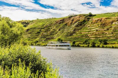 Panoramic Cruise on Moselle River to Winningen