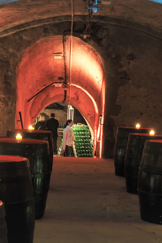Koblenz: Sektmuseum Histor. Kelllergewölbe incl. 1 Glas Sekt - How good guides make or break the hour