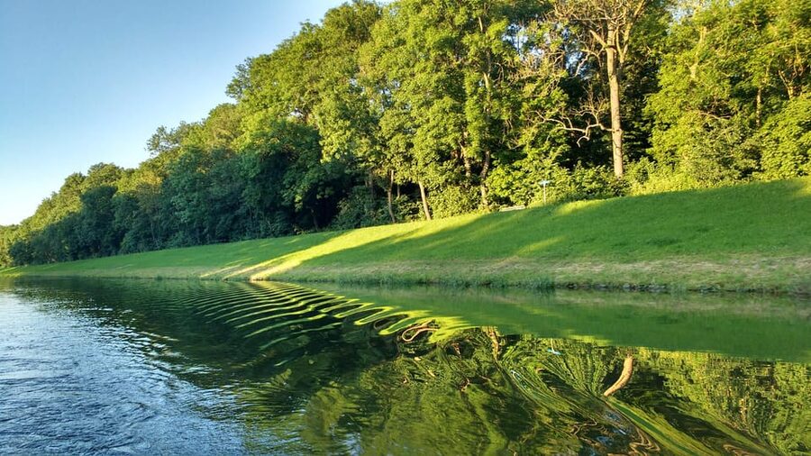 Leipzig: 2-hour Auwald Motorboat Tour - From Schreberstraße jetty to the Elster flood bed and Scheibenholz