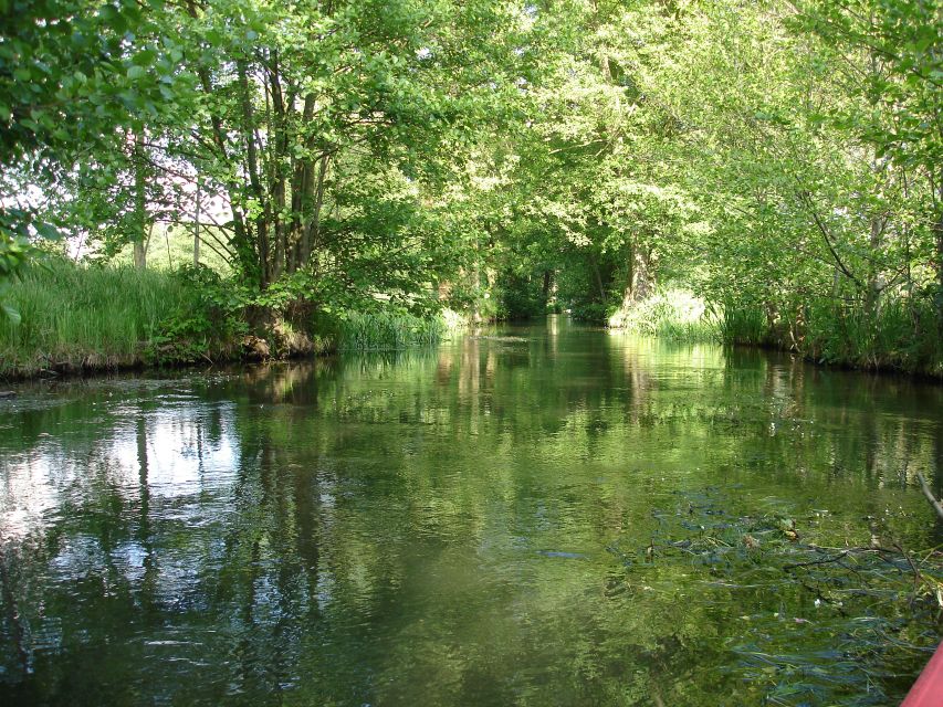 Leipzig: Riverside Forest Tour on the Pleiße - Key things I’d plan for on this Pleiße cruise