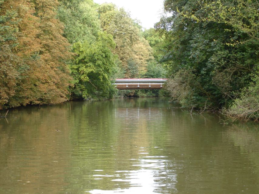 Leipzig: Riverside Forest Tour on the Pleiße - Flora and fauna on the floodplain: what the guide will help you notice