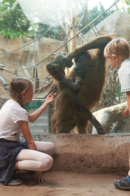 Leipzig Zoo: Entry Ticket - Key highlights I’d plan my day around
