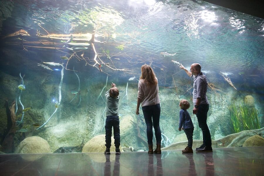 Leipzig Zoo: Entry Ticket - Djungle River Gamanil: why the boat ride matters more than you think