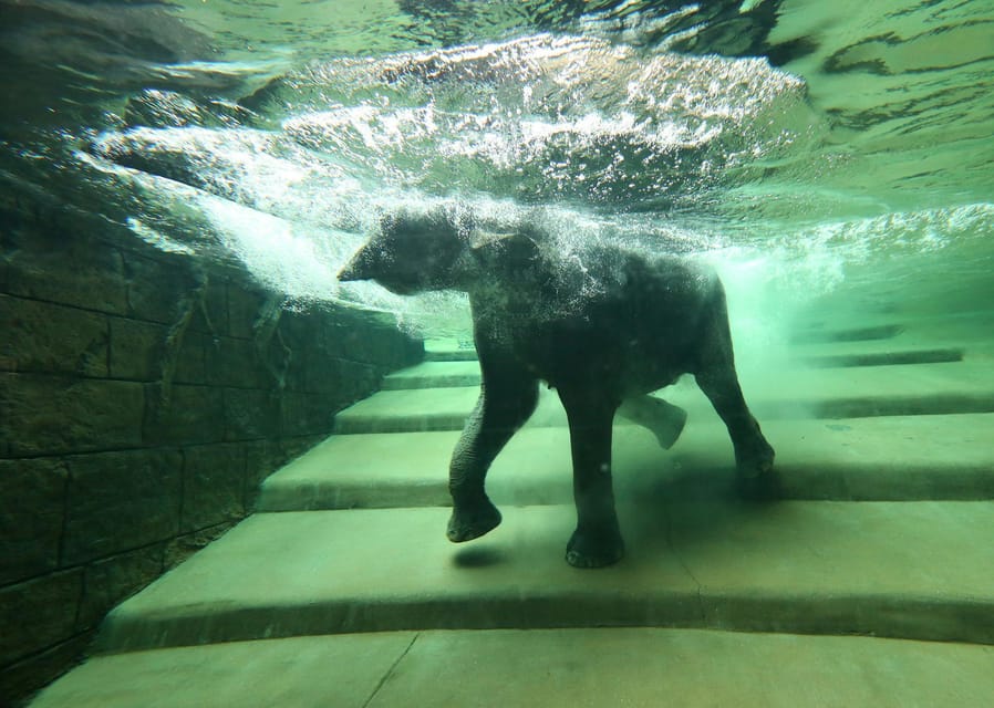Leipzig Zoo: Entry Ticket - Conservation learning: why the recreated habitats are more than decoration