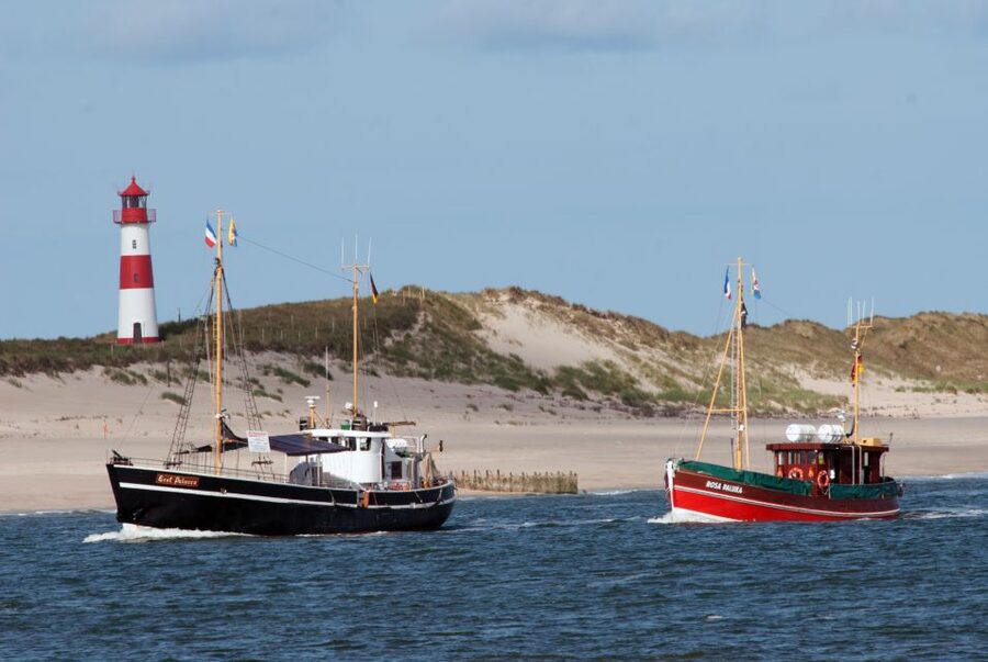 List/Sylt: Guided Seal-Watching Cruise on a Rustic Boat - List to the Wadden Sea: the 90-minute rhythm