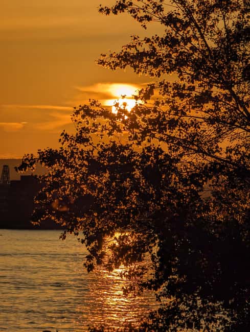 Mainz: guided evening tour of the Rhine riverbank/old town in German and English - Starting at the Hilton Terrace, Where the Rhine Sets the Tone