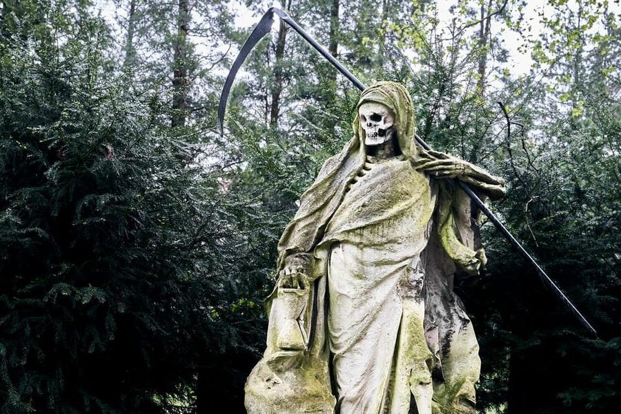 Melaten Friedhof: Guided tour with all senses - Key things to know before you go