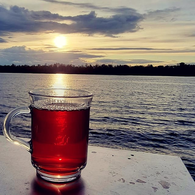 Mulled wine ride in the Leipzig New Zealand - Why a mulled wine cruise on Lake Cospuden is such a good winter move