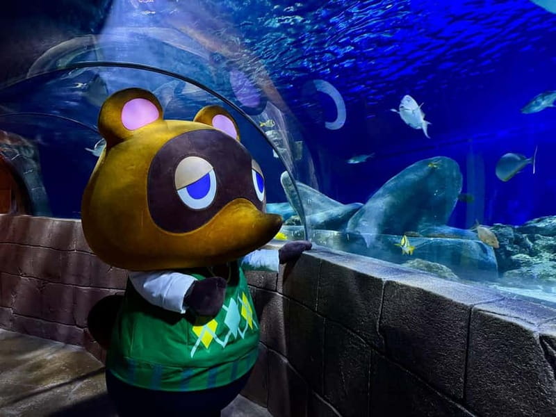 Munich: Day Ticket to Sea Life - Key highlights you should plan around