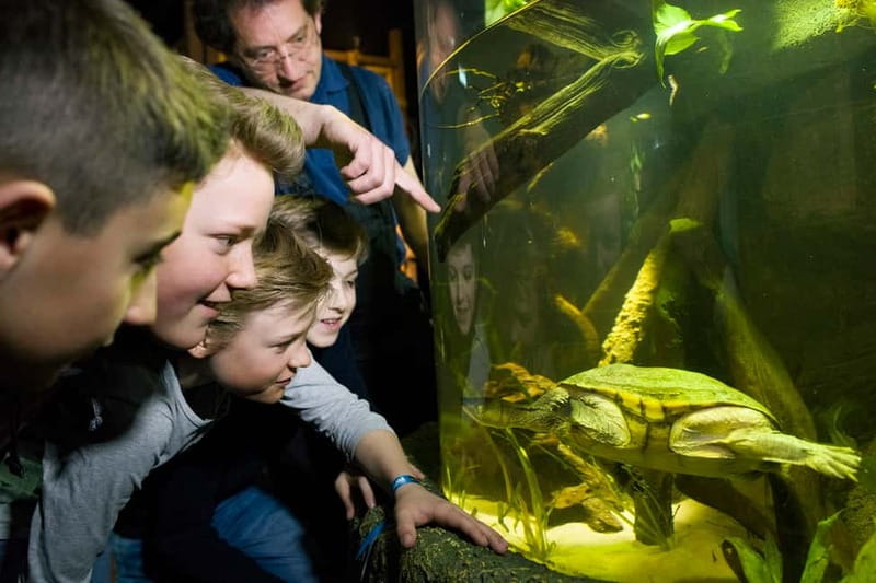 Munich: Day Ticket to Sea Life - SEA LIFE Munich in the Olympic Parc, what you see in a day