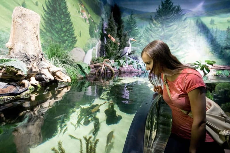 Munich: Day Ticket to Sea Life - Daily feedings with staff Q and A, how to get more value from your ticket