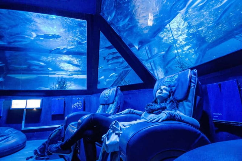 Munich: Day Ticket to Sea Life - Practical tips for a smoother visit, especially on rainy weekends
