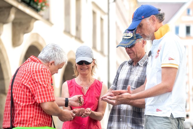Munich: Old Town Walking Tour - English Garden at the end, bigger than Central Park