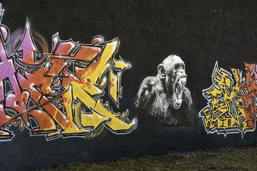 Munich: Street Art Bike Tour - Old masters and newer artists: what the guide helps you notice