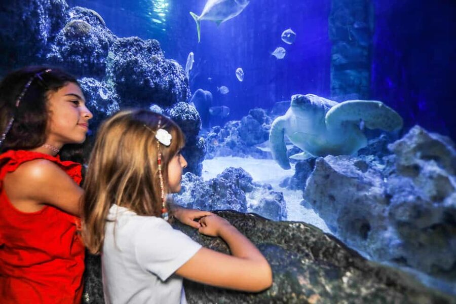 Oberhausen: SEA LIFE Oberhausen Entry Ticket - Key highlights at Sea Life Oberhausen