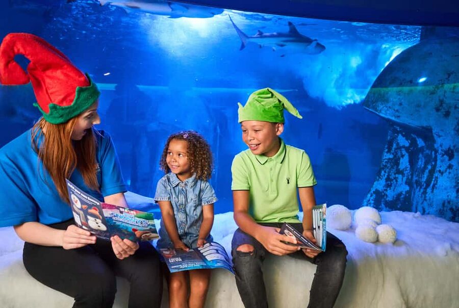 Oberhausen: SEA LIFE Oberhausen Entry Ticket - Daily feedings: how to time your visit for the best animal action