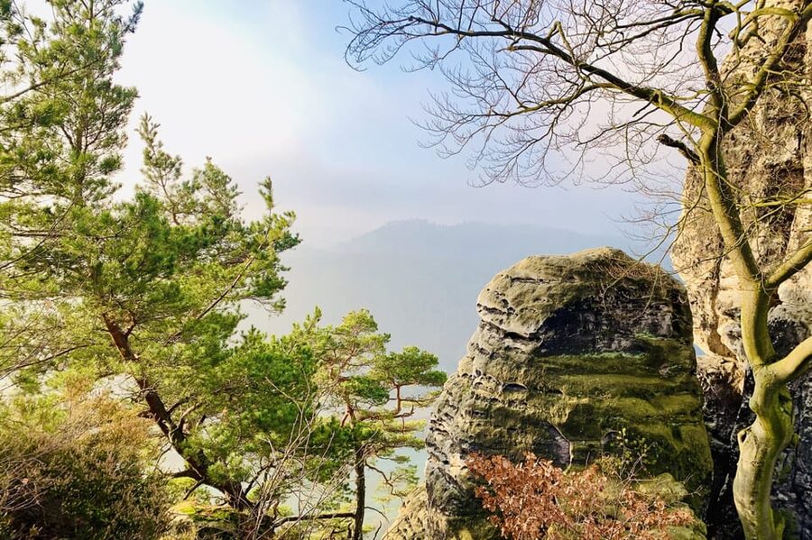 Prague: All-inclusive trip to Bohemian and Saxon Switzerland - Practical tips so the day stays fun, not stressful