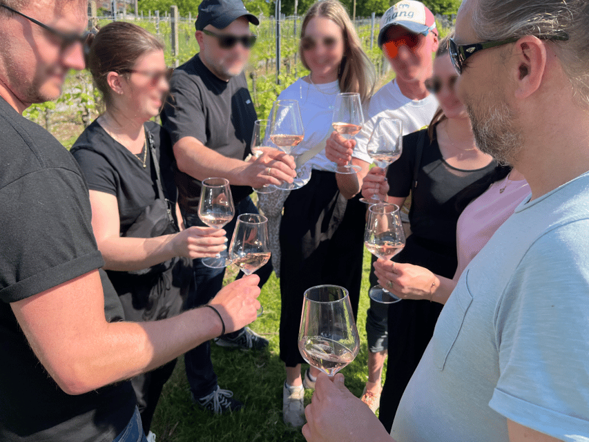Premium wine hike Stuttgart with games and winemaker's snack - Key Things You’ll Notice on This Stuttgart Wine Hike