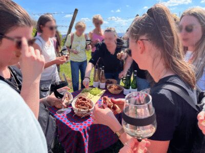 Premium wine hike Stuttgart with games and winemaker’s snack