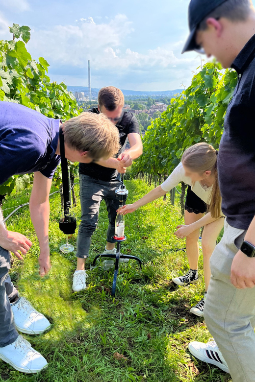 Premium wine hike Stuttgart with games and winemaker's snack - Weather, Ponchos, and How Much You Actually Hike