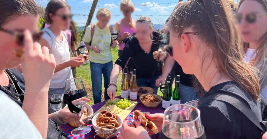 Premium wine hike Stuttgart with games and winemaker's snack - Price and Value for a Premium Private Wine Hike in Stuttgart