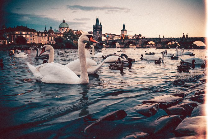 Private Transfer from Berlin to Prague with 2h of Sightseeing - Who This Transfer Is Best For