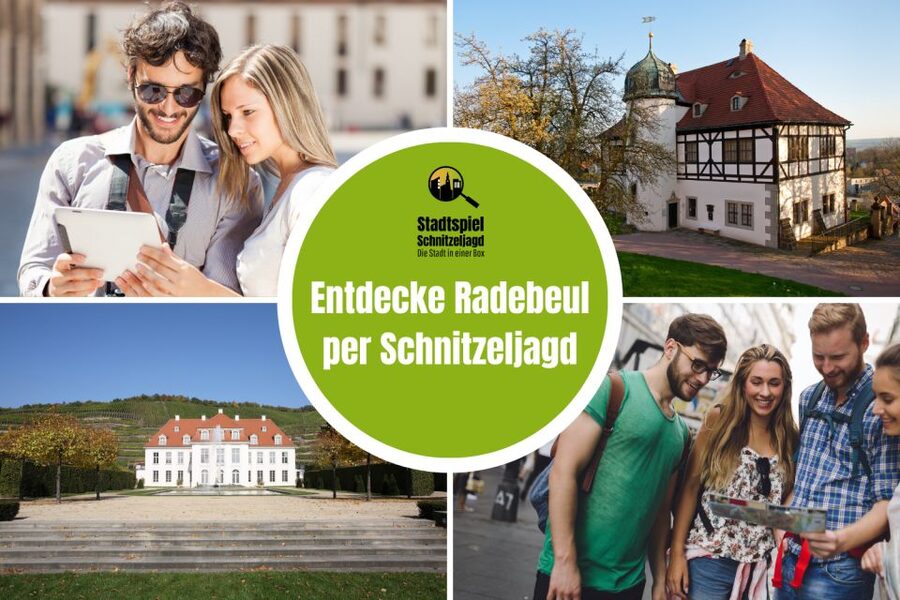Radebeul: Scavenger Hunt Self Guided Tour - Wackerbarth, Hoflößnitz, and wine estates that shape the whole route