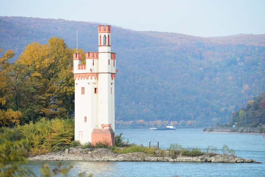 Rhine Valley Castles: 1.5-Hour Boat Tour from Rüdesheim - Who this boat tour fits best