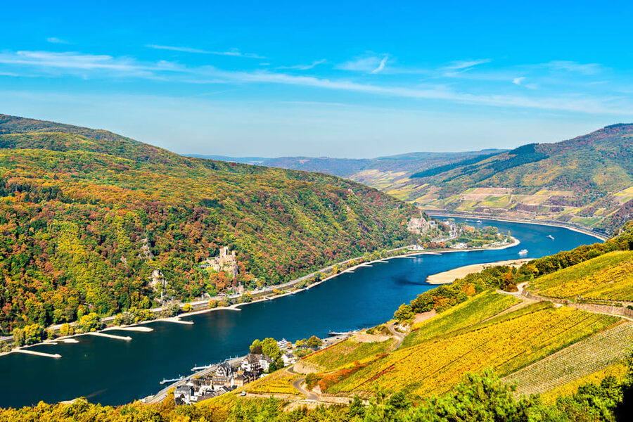 Rhine Valley Castles: 1.5-Hour Boat Tour from Rüdesheim - Mouse Tower and Binger Loch: myths on the water
