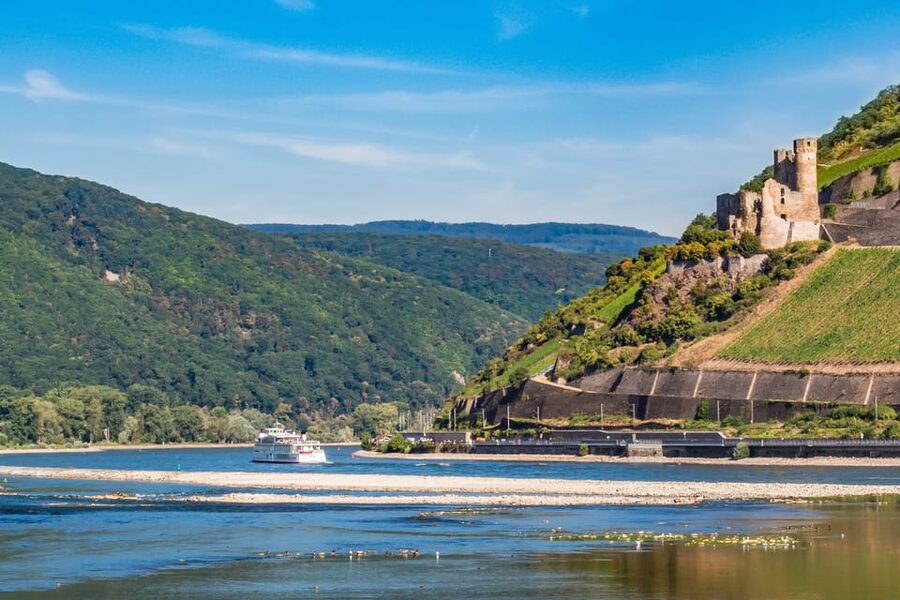 Rhine Valley Castles: 1.5-Hour Boat Tour from Rüdesheim - Assmannhausen vineyards, Bingen park, and Rüdesheim highlights