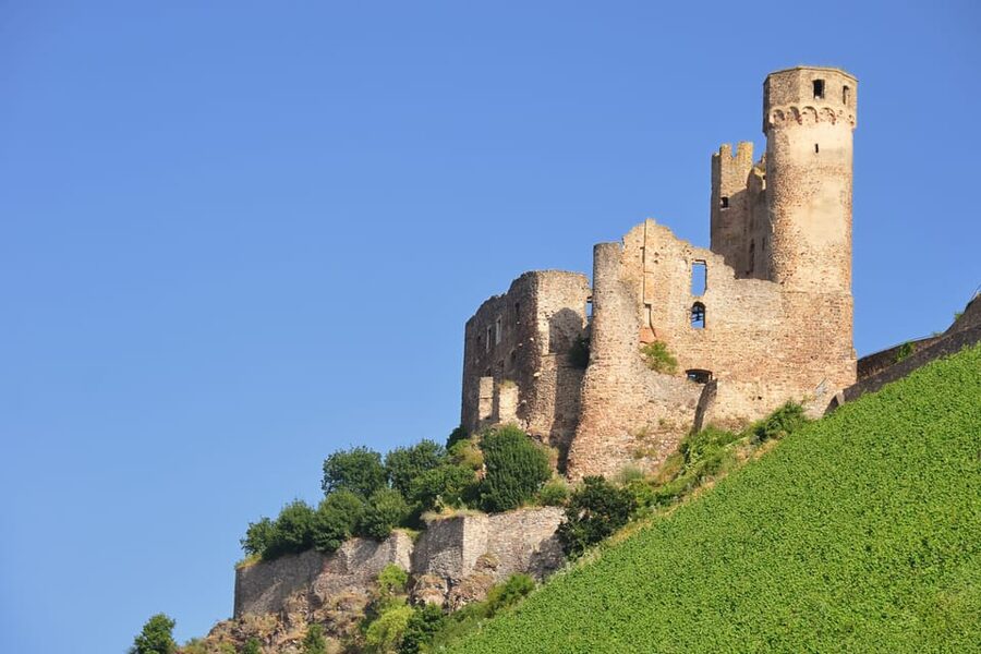 Rhine Valley Castles: 1.5-Hour Boat Tour from Rüdesheim - Audio, food service, and the cash-only rule