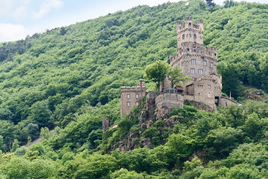 Rhine Valley Castles: 1.5-Hour Boat Tour from Rüdesheim - Price and time value: is $19 a smart use of your day?