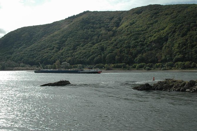 Rhine Valley Trip from Frankfurt including Rhine River Cruise - The Niederwald Monument viewpoint on the full-day route