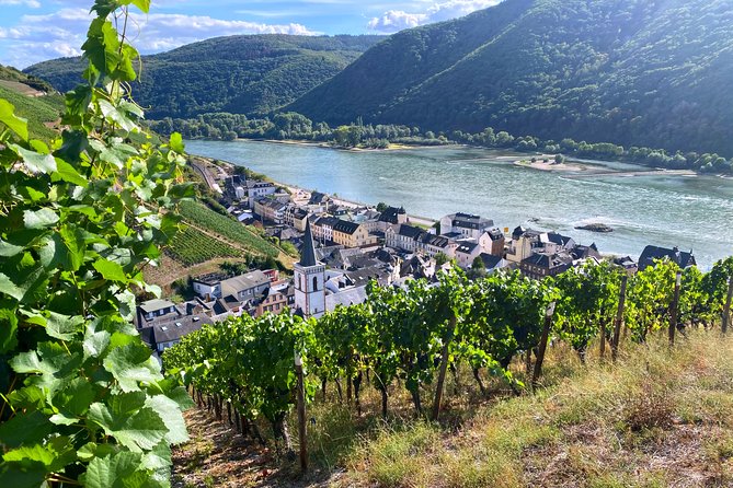 Rhine Valley Wine Tasting Tour from Frankfurt and Mainz - Key things to know before you go