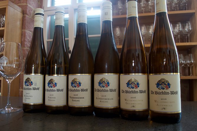Rhine Valley Wine Tasting Tour from Frankfurt and Mainz - Rheingau to Rheinhessen, river villages and why the drive counts