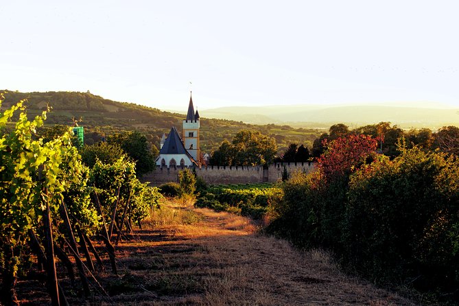Rhine Valley Wine Tasting Tour from Frankfurt and Mainz - The winery stops, what 10+ wines really means for your palate