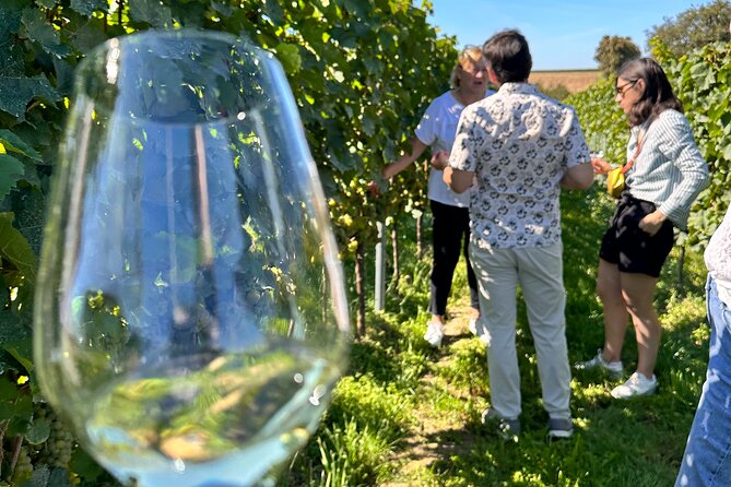 Rhine Valley Wine Tasting Tour from Frankfurt and Mainz - Price and value at $476.68, what you are paying for