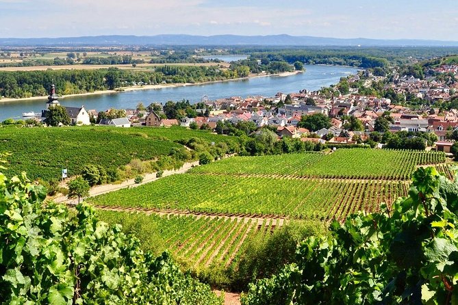 Rhine Valley Wine Tasting Tour from Frankfurt and Mainz - Getting there and the feel of the day, 10:00 to about 5:00