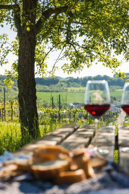 Romantic Road Ticket Würzburg - Rothenburg with Wine Tasting - The Wine Tasting on Board: Secco, Müller Thurgau, Domina
