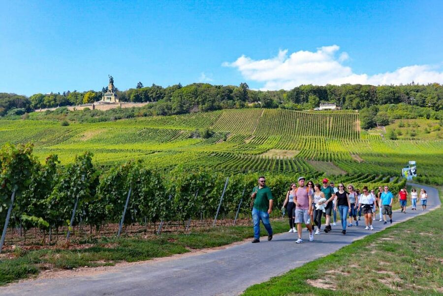 Rüdesheim - Guided wine hikes with 4wines and cable car ride - Who this Rüdesheim wine hike suits best