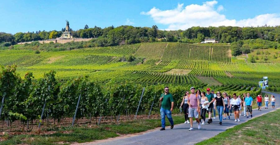 Rüdesheim - Guided wine hikes with 4wines and cable car ride - Four vegan tastings, plus sparkling: how the tasting parts fit together