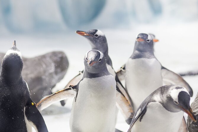 SEA LIFE Konstanz Admission Ticket - Quick hits before you go