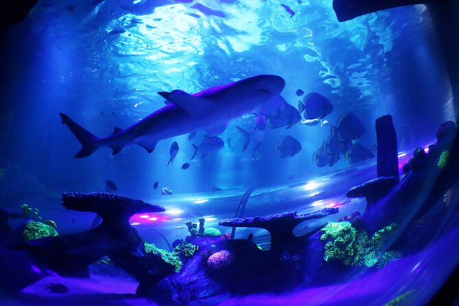 SEA LIFE Konstanz Admission Ticket - Price and value for $27.64: what you should compare in your head