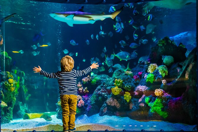 SEA LIFE Timmendorfer Strand Admission Ticket - Getting your bearings: where the ticket fits and what it includes