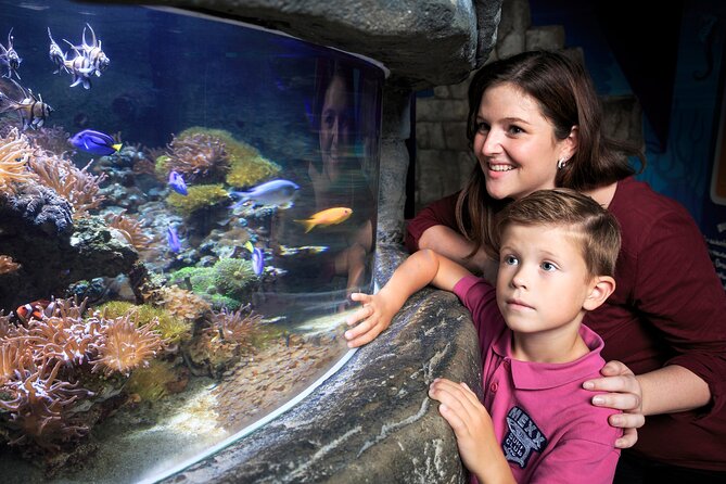 SEA LIFE Timmendorfer Strand Admission Ticket - How long it takes: making peace with 1 to 1.5 hours