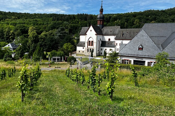 Small Group Rheingau Vineyards Tour with Castles and Abbeys - Who should book, and who should skip