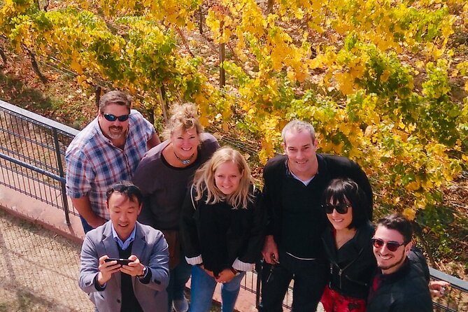 Small Group Rheingau Vineyards Tour with Castles and Abbeys - Should you book this Rheingau wine tour?