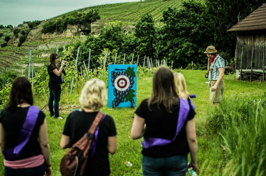 Stuttgart: Guided Vineyards Tour - Wine games that turn a tasting into a conversation